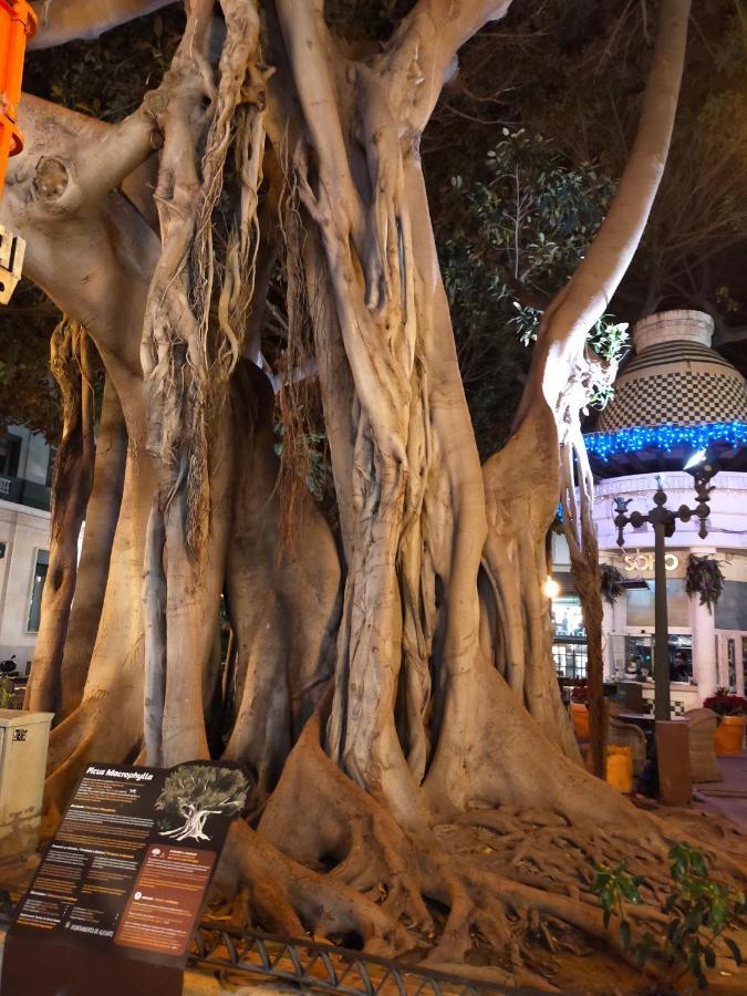 City Center Alicante - Cisneros المظهر الخارجي الصورة